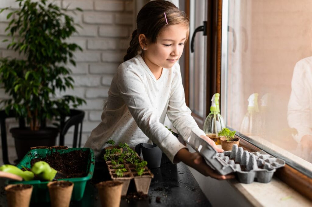 educación ambiental en primaria