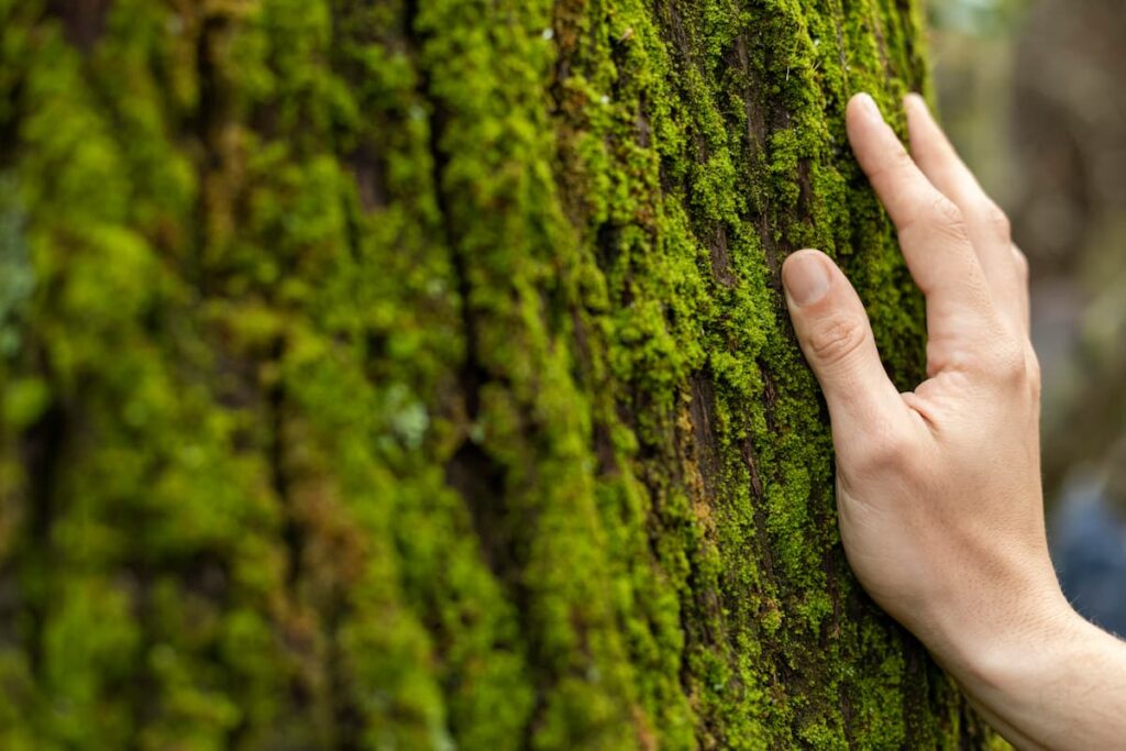 campaña de concienciación ambiental