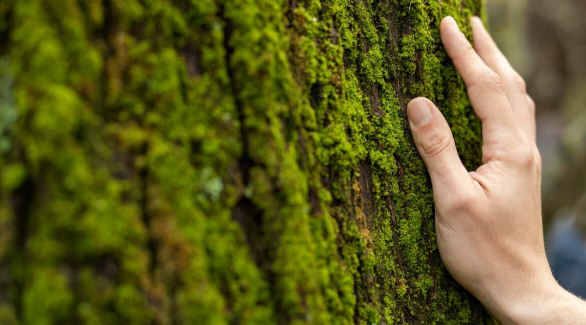 campaña de concienciación ambiental