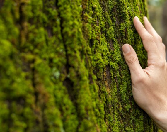 campaña de concienciación ambiental