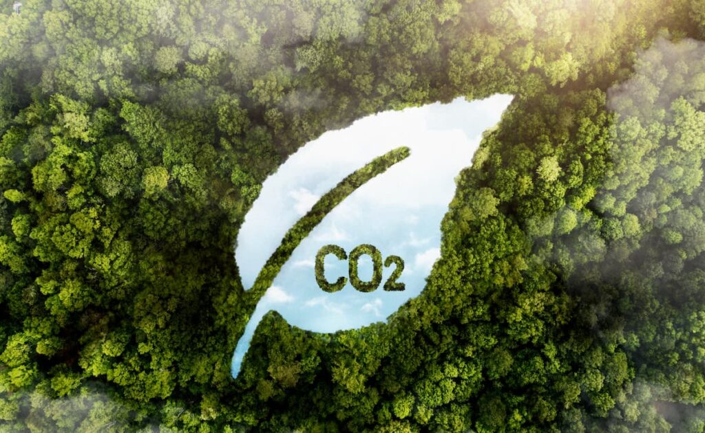 Cómo medir el impacto ambiental de una empresa