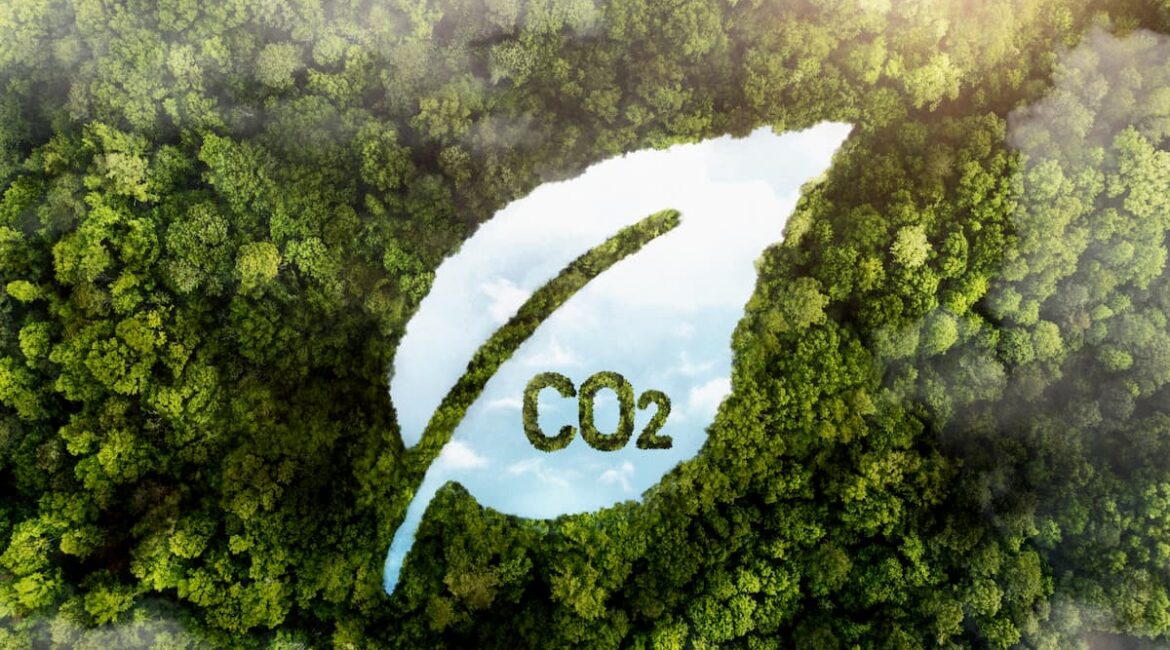 Cómo medir el impacto ambiental de una empresa