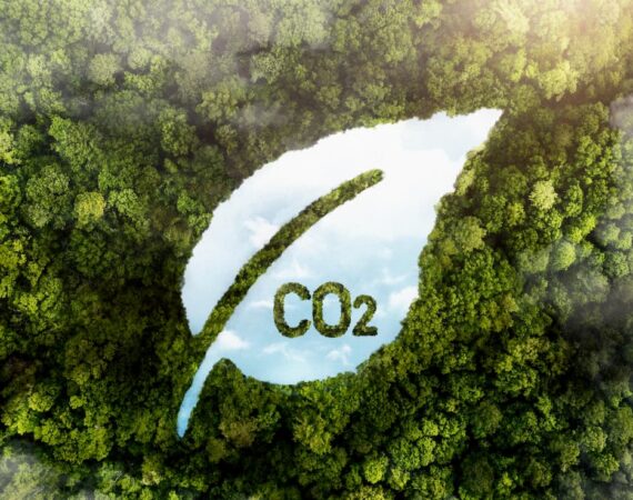 Cómo medir el impacto ambiental de una empresa