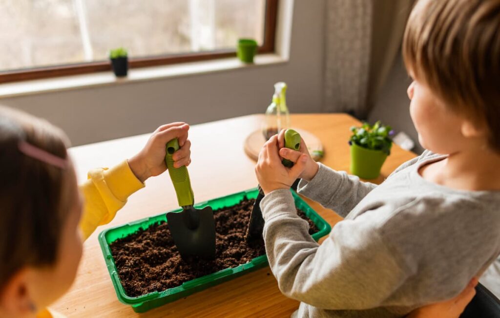 Qué es el compost y cómo puedes aplicarlo en la escuela