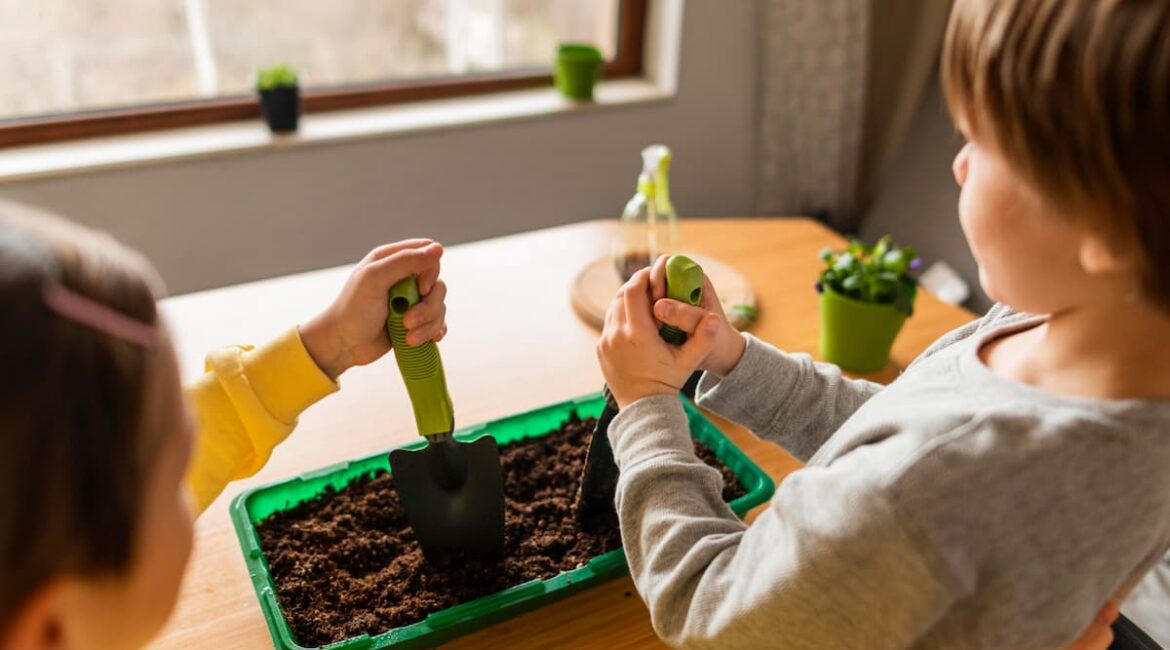 Qué es el compost y cómo puedes aplicarlo en la escuela