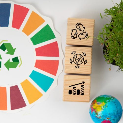 10 Ejemplos de Economía Circular: Innovación para un Futuro Sostenible