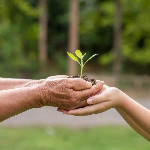 ¿Qué es la sostenibilidad y cómo aplicarla en tu día a día?