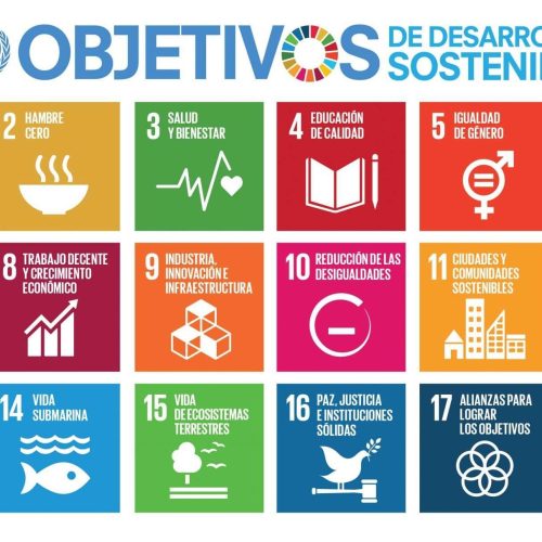 Agenda 2030 para empresas: qué es y cómo implementarla de forma efectiva