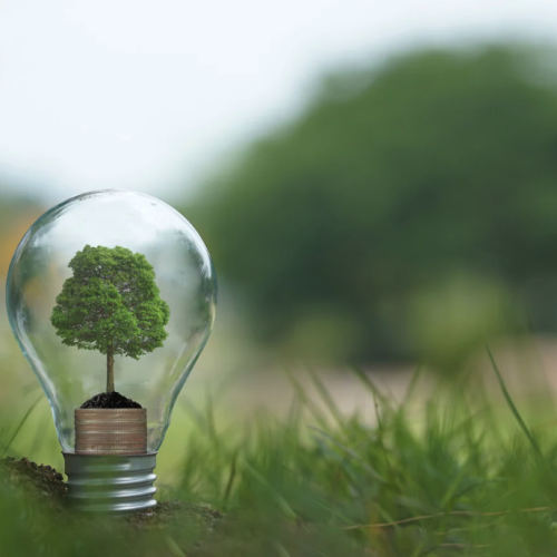📌 Estrategia de sostenibilidad: clave para el futuro y el éxito empresarial
