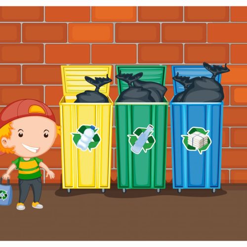 Reciclaje en escuelas: guía paso a paso para crear programas educativos sostenibles