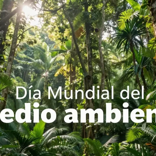 Día Mundial del Medio Ambiente: Cómo integrar la economía circular en las aulas españolas