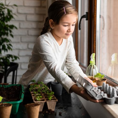 Educación ambiental en primaria: 10 recursos y actividades prácticas