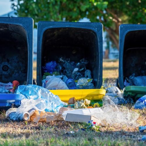 El impacto ambiental de los residuos mal gestionados