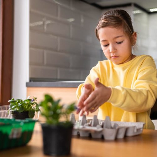 Qué proyectos ambientales se pueden trabajar en aula