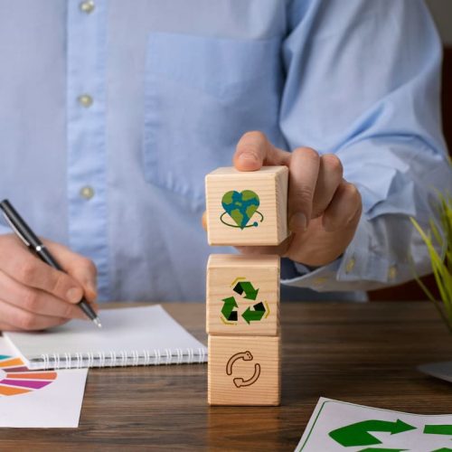 ¿Qué significa ser una empresa verde y 7 pasos para lograrlo?